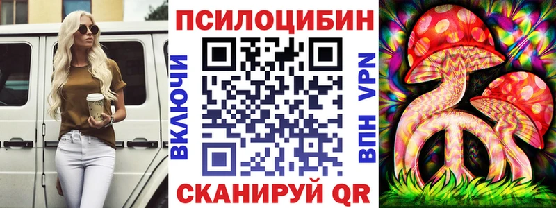 Псилоцибиновые грибы GOLDEN TEACHER  Купить закладки  Боровск 